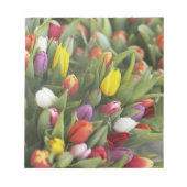 Bunte Tulpen Notizblock (Vorderseite)