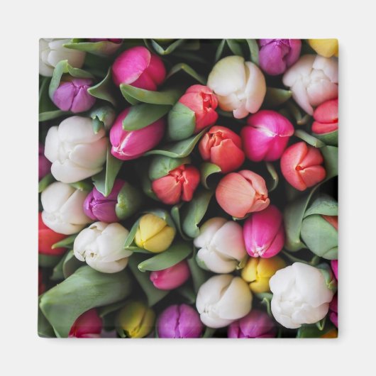 Bunte Tulpen Ostern Frühling Magnet (Vorne)