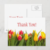 Bunte Tulpen Postkarte (Vorne/Hinten)