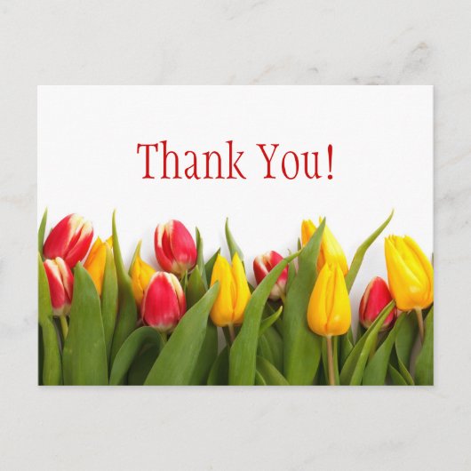 Bunte Tulpen Postkarte (Vorderseite)