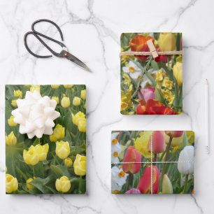 Bunte Tulpen- und Narzissen-Geschenkpapierbögen Geschenkpapier Set