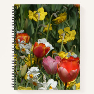 Bunte Tulpen- und Narzissen-Notizbuch Notizblock