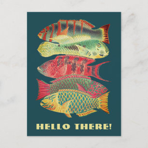Bunte Vintage-Fische des Barriereriffs Hallo da Postkarte