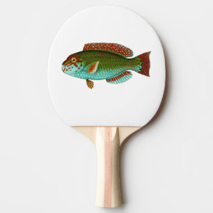 Bunte Vintage Fische Tischtennis Schläger