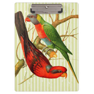 Bunte Vintage-Illustration roter und grüner Papage Klemmbrett