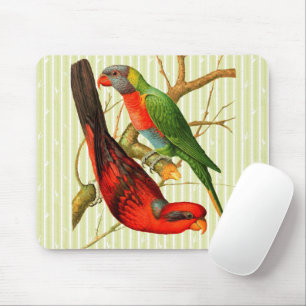Bunte Vintage-Illustration roter und grüner Papage Mousepad