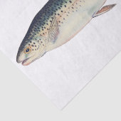 Bunte Vintage Lachsillustration Seidenpapier (Ausschnitt)