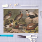 Bunte Vintage Malerei der Enten Seidenpapier (Handwerk)