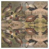 Bunte Vintage Malerei der Enten Stoff (Nahaufnahme)