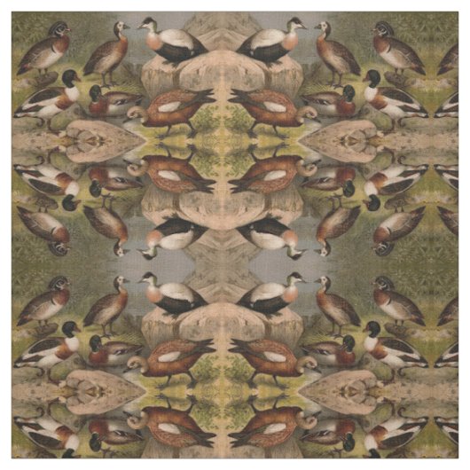 Bunte Vintage Malerei der Enten Stoff (Muster)