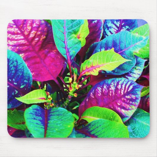 Bunte violette Pflanzen Mousepad (Vorne)