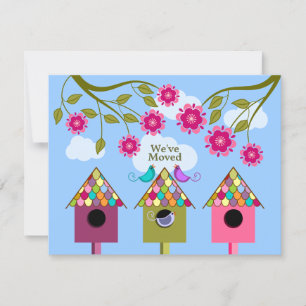 Bunte Vögel, die Mitteilung bewegen Ankündigung