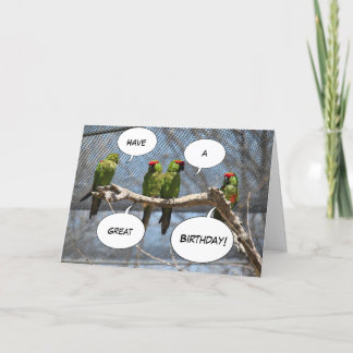 Bunte Vogel-Gruß-Karte Karte