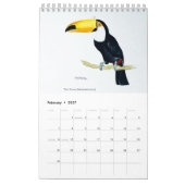 Bunte Vögel Kalender 2026 (Feb 2027)