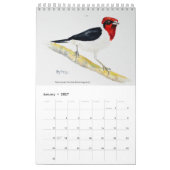 Bunte Vögel Kalender 2026 (Jan 2027)