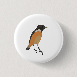 Bunte Vögel Singvogel Button