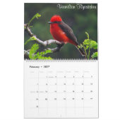 Bunte Vögel von Kolumbien Kalender (Feb 2027)