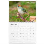 Bunte Vögel von Kolumbien Kalender (Mär 2027)