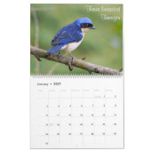 Bunte Vögel von Kolumbien Kalender (Jan 2027)