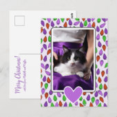 Bunte Weihnachtslichter Katze Postkarte (Vorne/Hinten)