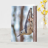 Bunte Weiße-breasted Kleiber-Vertikale Karte (Gelbe Blume)