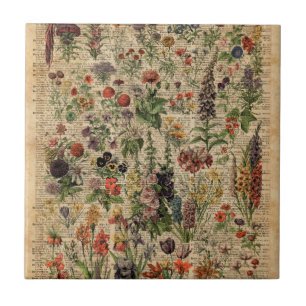 Bunte Wiesen-Blumen-Kraut-Wörterbuch-Kunst Fliese