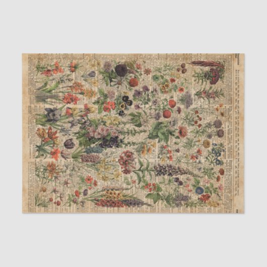 Bunte Wiesen-Blumen-Kraut-Wörterbuch-Kunst Seidenpapier (Vorderseite)