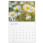 Bunte Wildblumen Kalender (Jan 2027)