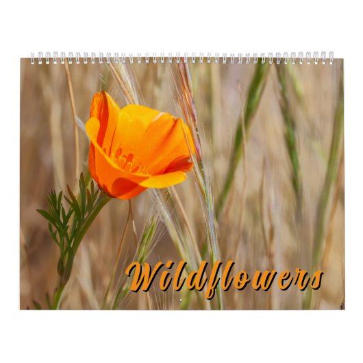 Bunte Wildblumen Kalender (Titelbild)