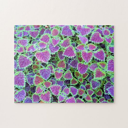 Buntenburg Coleus Puzzle (Horizontal)