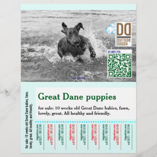 Bunter abreißbarer Hundeflyer  Flyer
