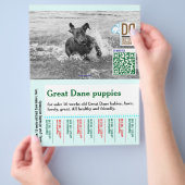 Bunter abreißbarer Hundeflyer  Flyer (Hand)