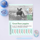 Bunter abreißbarer Hundeflyer  Flyer (Einzeln)