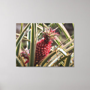 Bunter Ananas, der im Regenwald wächst Leinwanddruck