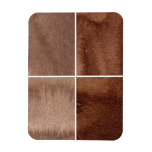 bunter Aquarellhintergrund für Ihre 5 Magnet