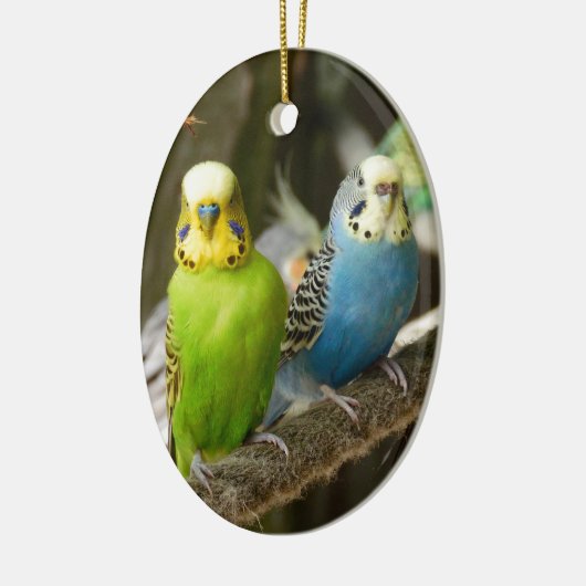 Bunter Budgie Vogel Keramikornament (Links)