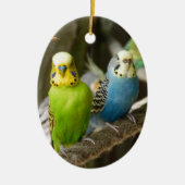 Bunter Budgie Vogel Keramikornament (Vorne)