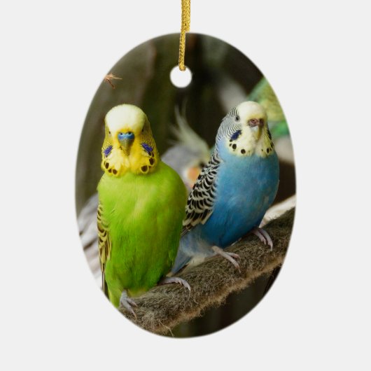 Bunter Budgie Vogel Keramikornament (Vorne)