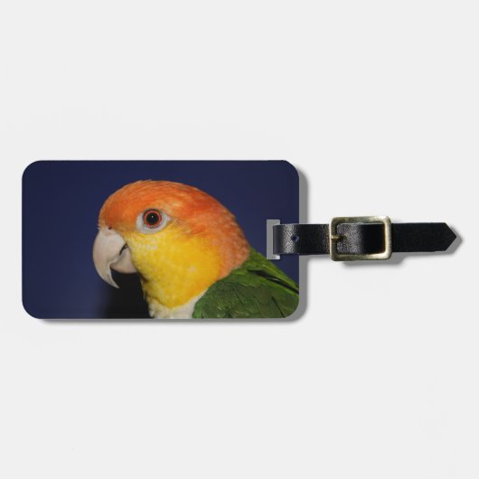 Bunter Caique-Papagei Gepäckanhänger (Vorderseite horizontal)