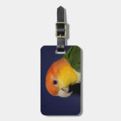 Bunter Caique-Papagei Gepäckanhänger (Vorderseite vertikal)