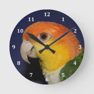 Bunter Caique-Papagei Runde Wanduhr