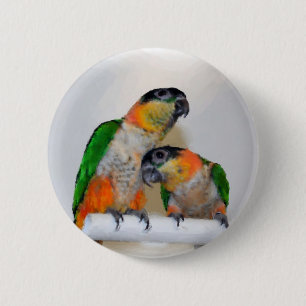 Bunter Caique-Papageien-Paar-Knopf Button