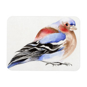 Bunter Chaffinch 2011 Magnet