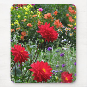 Bunter Dahlie-Blumen-Garten Mousepad
