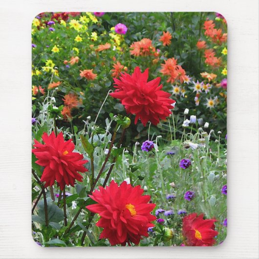 Bunter Dahlie-Blumen-Garten Mousepad (Vorne)