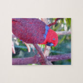 Bunter eclectus Papagei Puzzle (Horizontal)