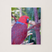 Bunter eclectus Papagei Puzzle (Vertikal)