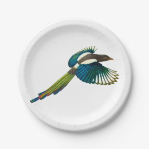Bunter Elster-Vogel, Vintage Illustration Pappteller