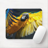 Bunter Fliegen Ara auf einem dunklen Hintergrund Mousepad (Mit Mouse)