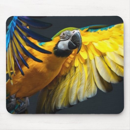 Bunter Fliegen Ara auf einem dunklen Hintergrund Mousepad (Vorne)